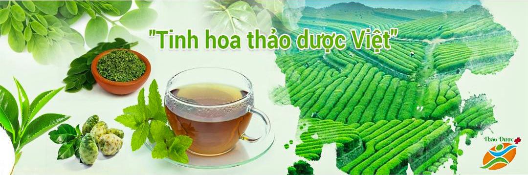 banner-thao-duoc-viet-newsale-120.png